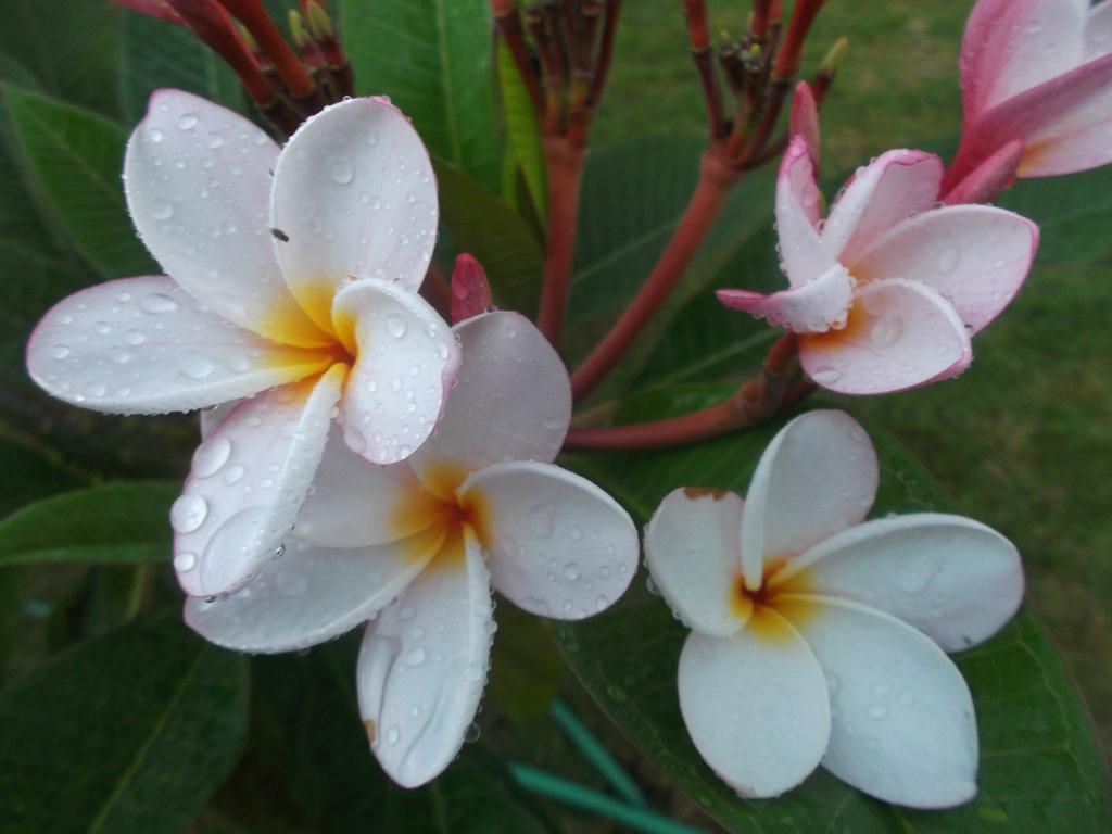 Pecem Suites المظهر الخارجي الصورة